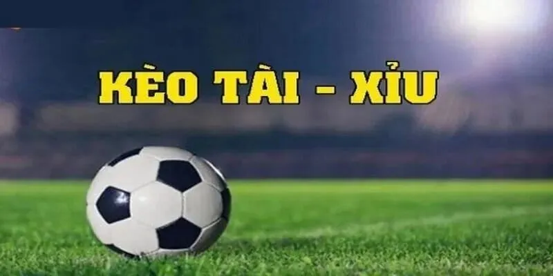 Dự đoán chuẩn kèo bóng tài xỉu 2.5