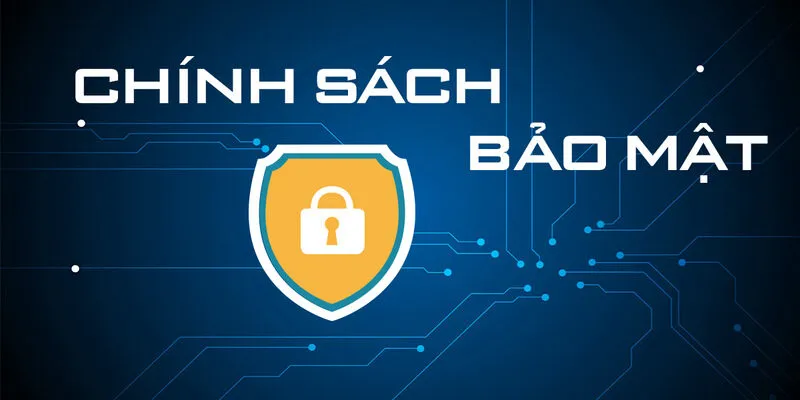 Điểm danh các mục chính trong chính sách bảo mật của trang web